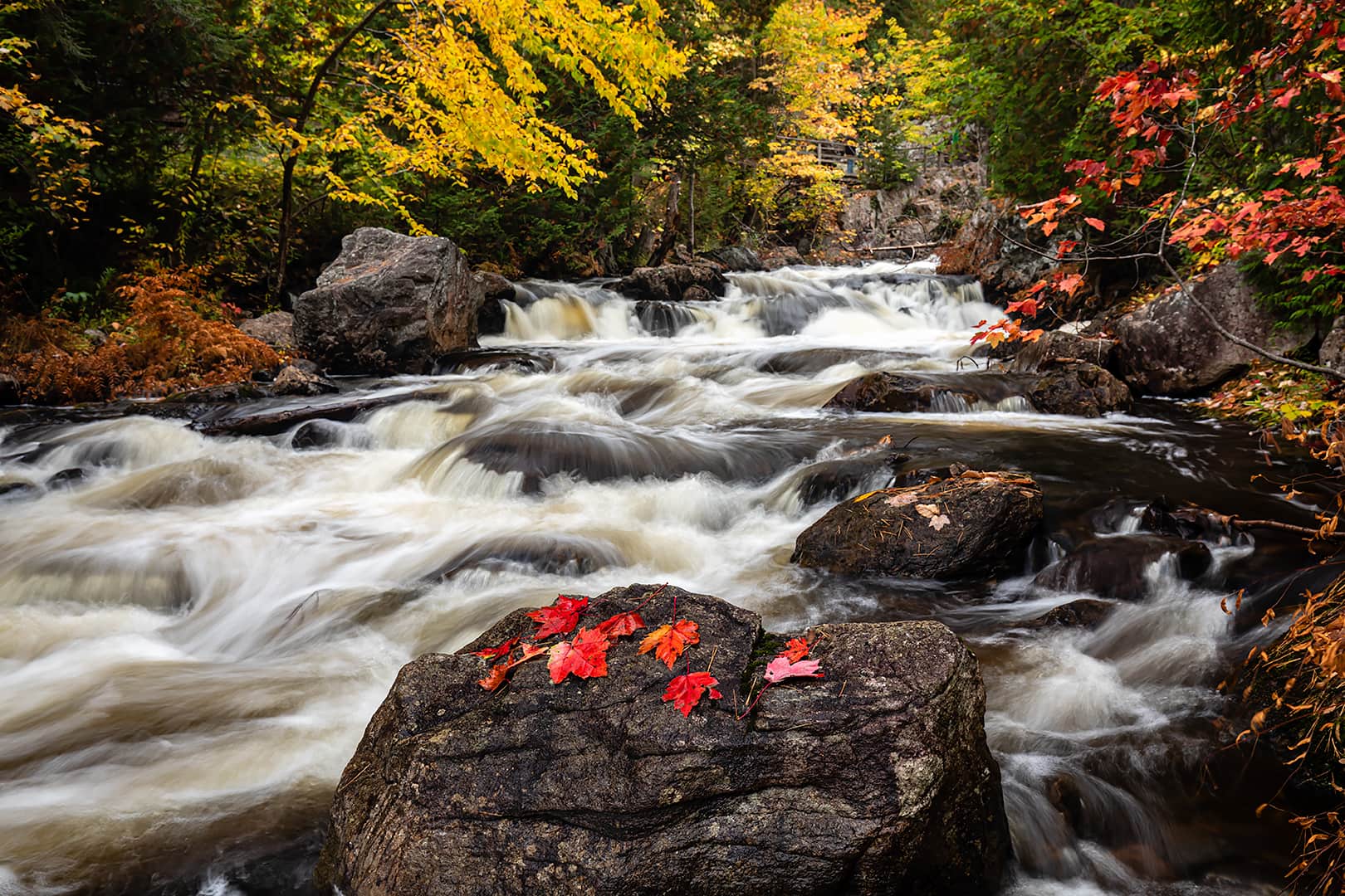 Crystal Creek fall colour